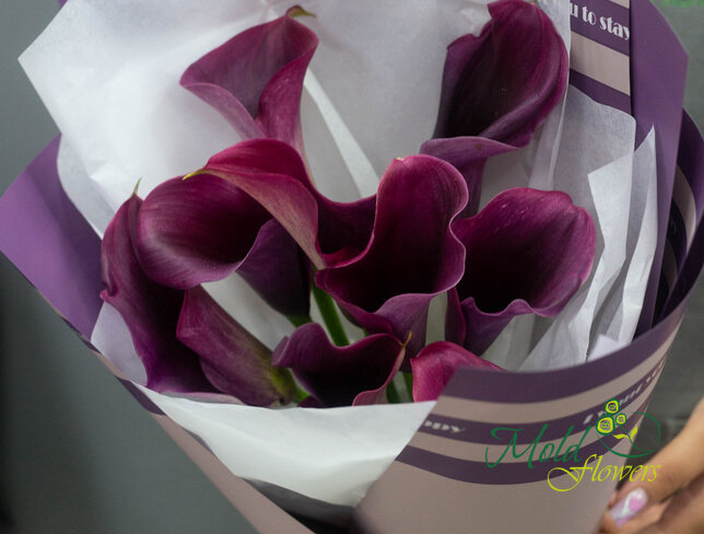Buchet din 9 cale mov — foto 2