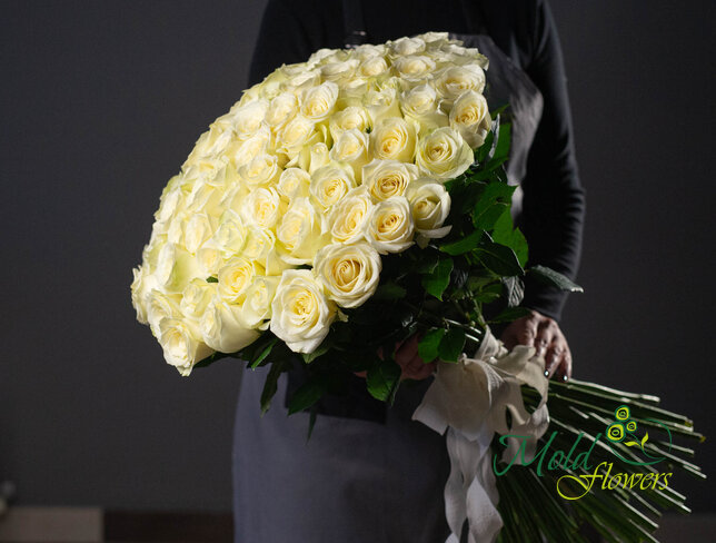 Buchet din 101 de trandafiri albi 70 cm