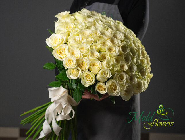 Buchet din 101 de trandafiri albi 70 cm — foto 2