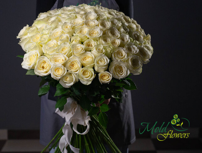 Buchet din 101 de trandafiri albi 70 cm — foto 3