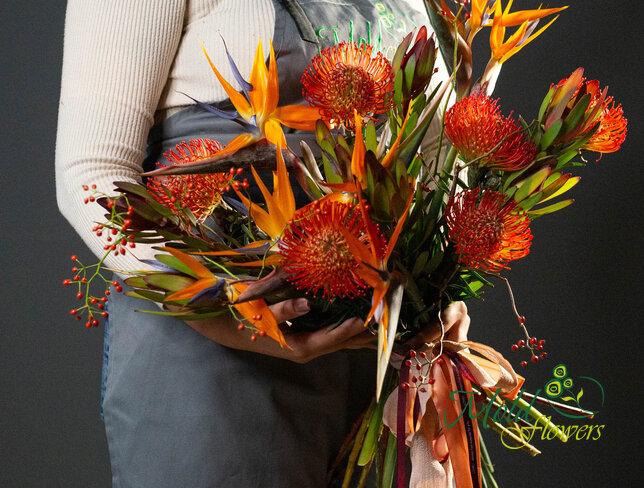 Grafica exotica — foto 2