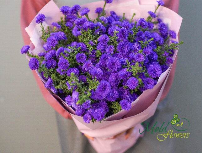 Bouquet of 19 Purple Asters