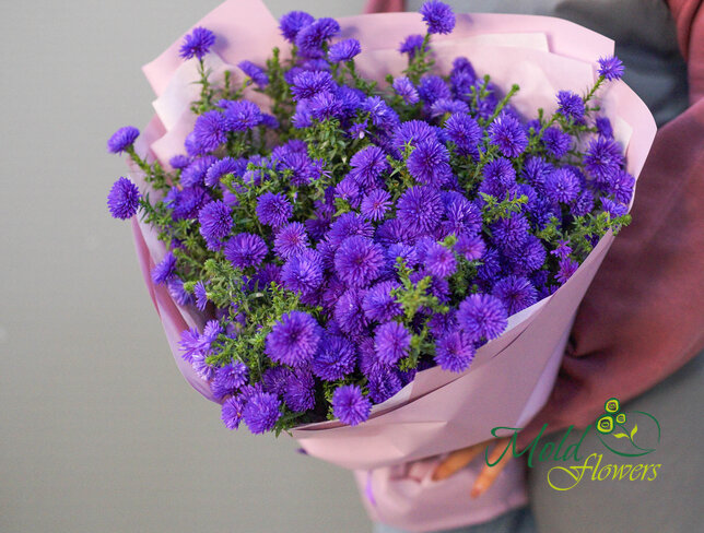 Bouquet of 19 Purple Asters — photo 2