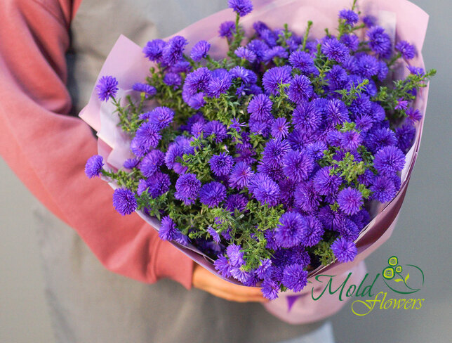 Bouquet of 19 Purple Asters — photo 3