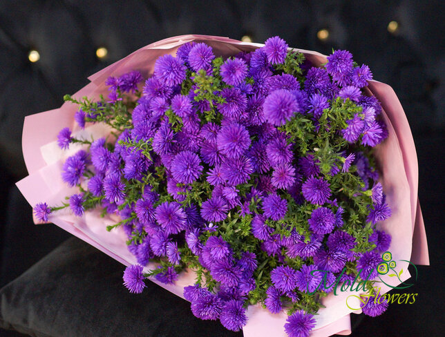 Bouquet of 19 Purple Asters — photo 4