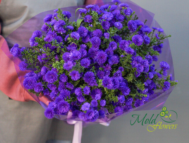 Buchet (L) din 29 de astre mov — foto 2