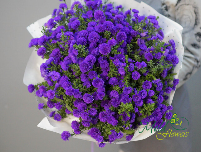 Buchet (XL) din 51 de astre mov
