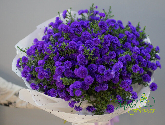 Buchet (XL) din 51 de astre mov — foto 2