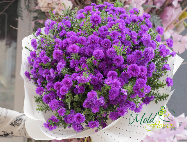Buchet (XL) din 51 de astre mov — foto 3