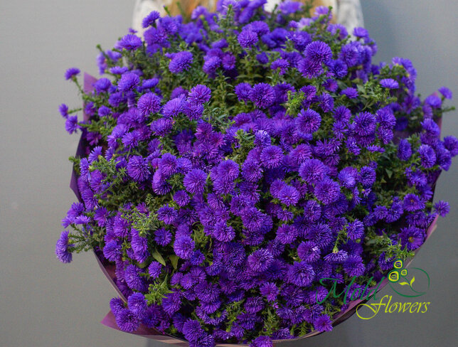 Buchet (XXL) din 75 de astre mov