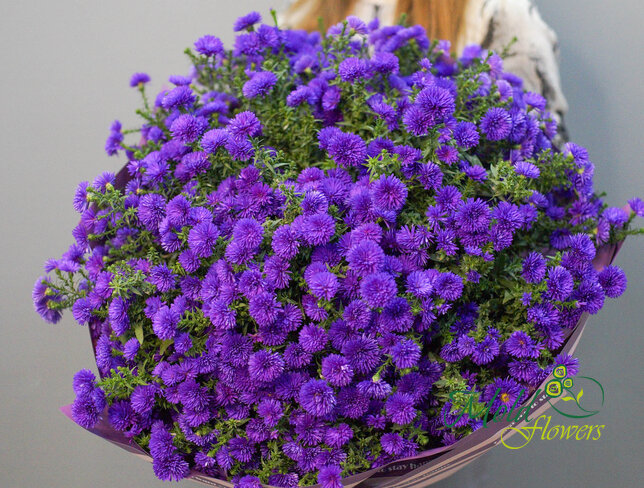 Buchet (XXL) din 75 de astre mov — foto 2