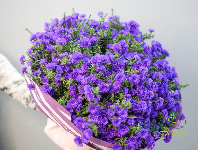 Buchet (XXL) din 75 de astre mov — foto 4
