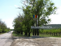 basarabeasca