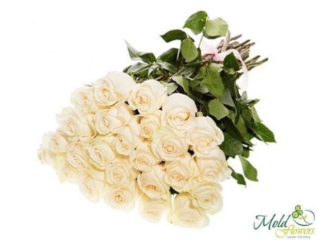 Trandafir alb 30-40 cm foto