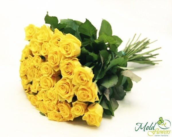 Роза желтая 30-40 см Фото