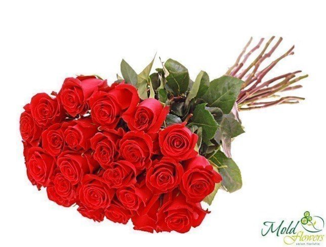 Роза красная 30-40 см - НЕ ВКЛЮЧАТЬ Фото