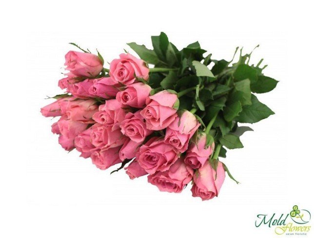 Роза бледно-розовая 50-60 см Фото