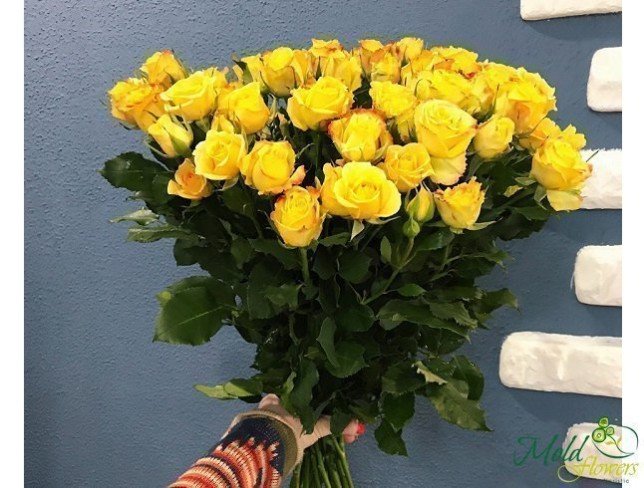 Роза кустовая жёлтая (под заказ, 10 дней) Фото