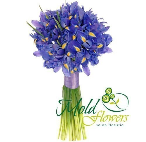 Bridal Bouquet with Blue Irises Photo