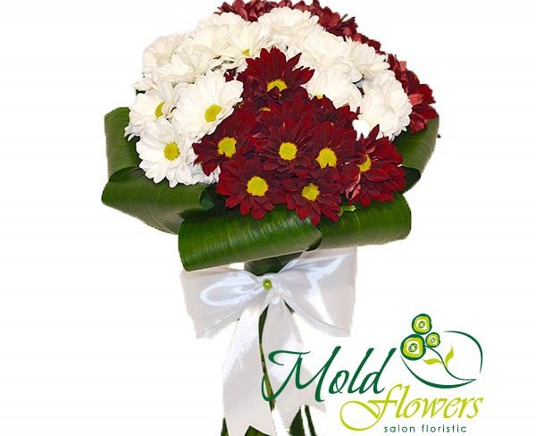 Букет невесты из белых и красных кустовых хризантем с белой лентой фото