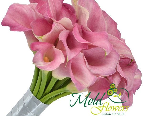 Bridal Bouquet with Pink Calla Lilies Photo