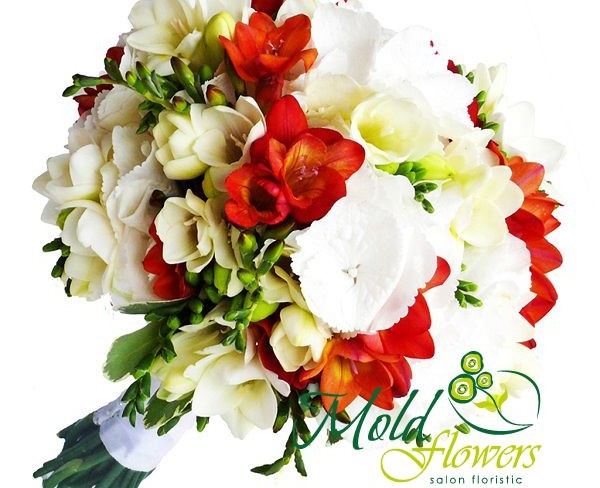 Bridal Bouquet with White, Red Freesias, and White Hydrangeas Photo