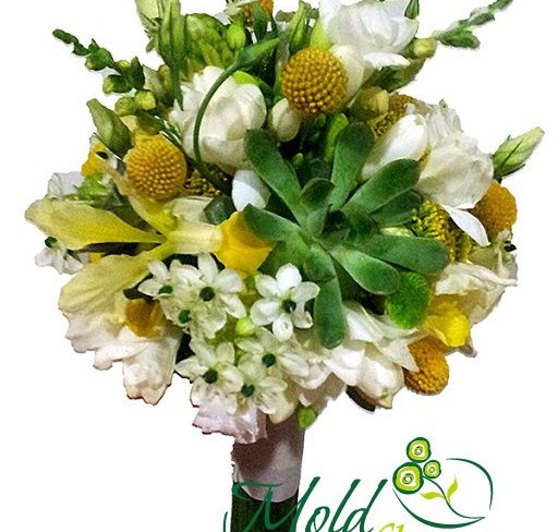 Bridal Bouquet of Yellow Craspedia, White Argyranthemum, Freesia, and Succulent  Photo