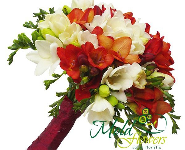 Beautiful Bridal Bouquet with Red and White Freesias Photo