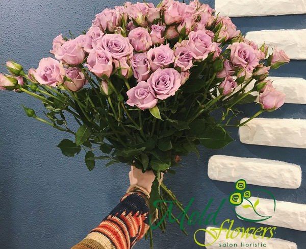 Роза кустовая фиолетовая (под заказ, 10 дней) Фото