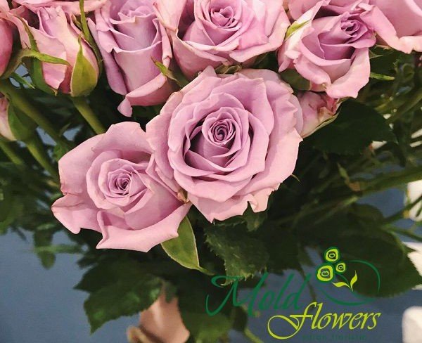 Trandafir de tufă violet (la comanda, 10 zile) foto