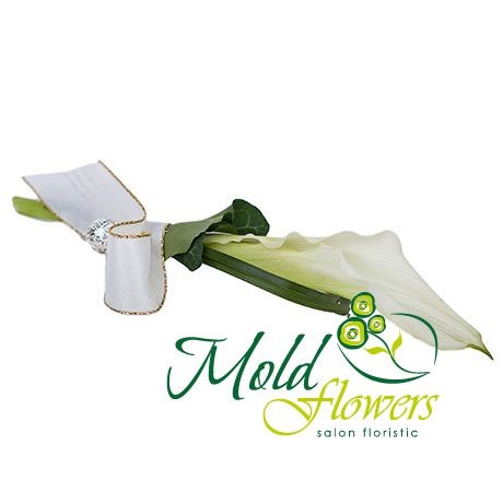 Boutonniere with White Calla Lily, White Ribbon, Adorned with a Gemstone - Photo