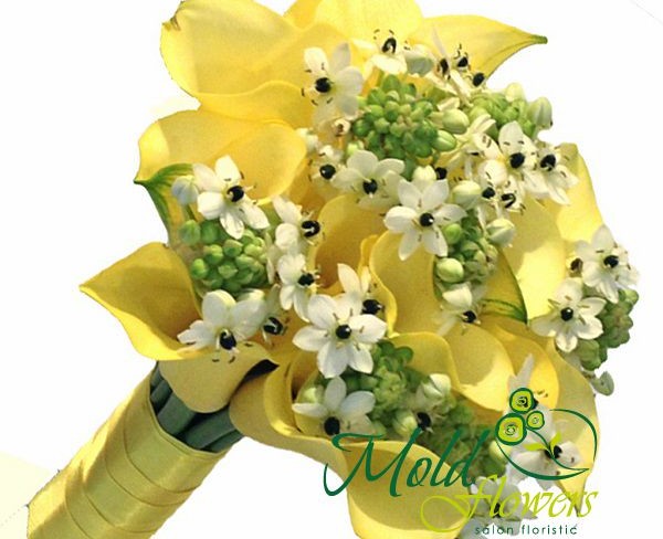 Bridal Bouquet of Yellow Calla Lilies and White Ornithogalum - Photo