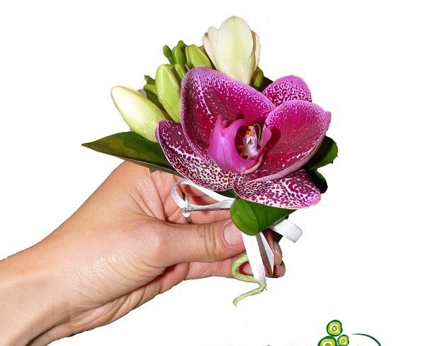 Бутоньерка из розовой орхидеи и белых фрезий фото