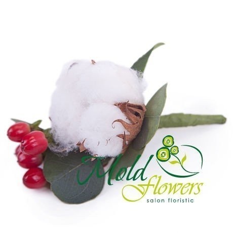 Boutonniere with Cotton Flower and Red Hypericum - Photo