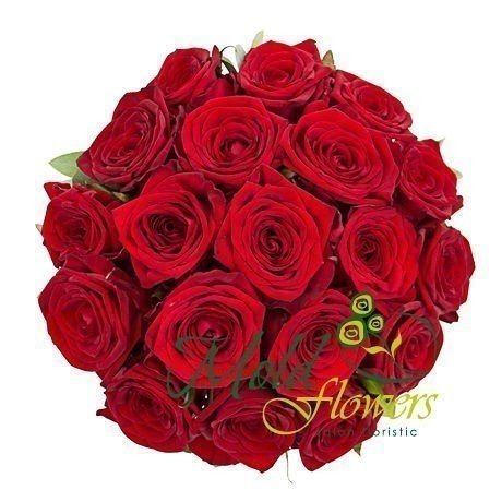 Beautiful Bridal Bouquet of Red Roses - Photo