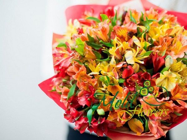 Beautiful Bouquet of Yellow, Red, and Orange Alstroemerias in Red Wrapping - Photo