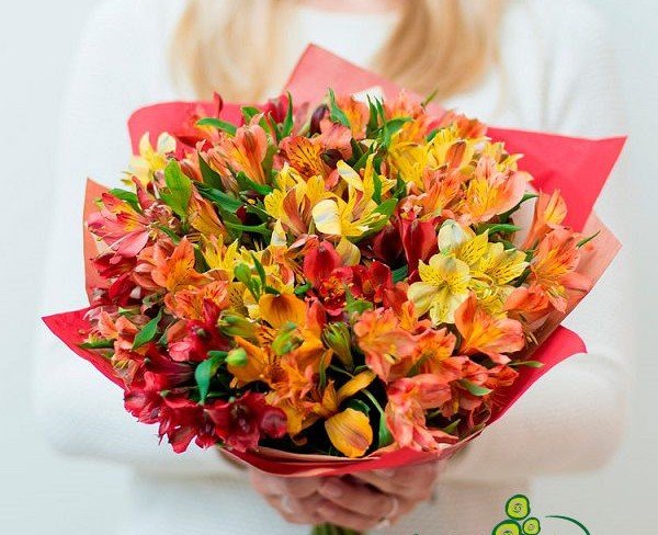Beautiful Bouquet of Yellow, Red, and Orange Alstroemerias in Red Wrapping - Photo