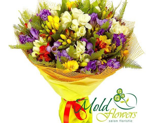Bouquet of white, yellow, red, and purple freesias in yellow paper - photo