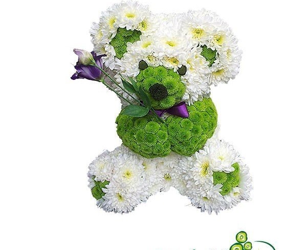 Медвежонок из цветов (белых и зеленых хризантем) фото