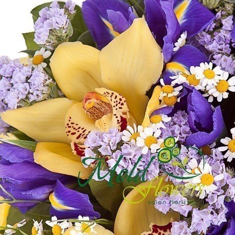 Bouquet of cymbidium orchid, iris, tanacetum camilla, statice, salal photo
