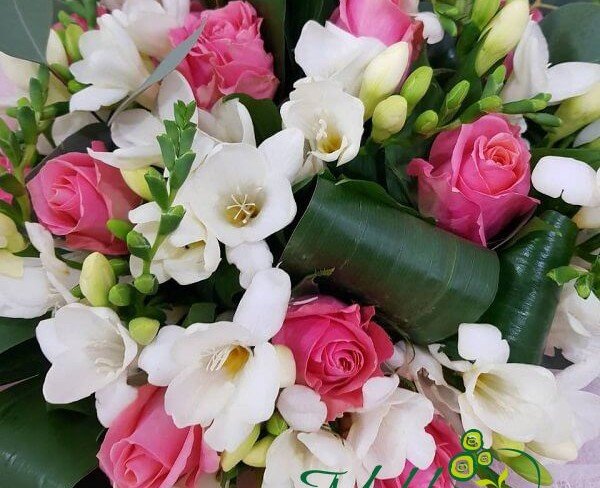 Bouquet of pink roses, white freesias, aspidistra in pink paper photo