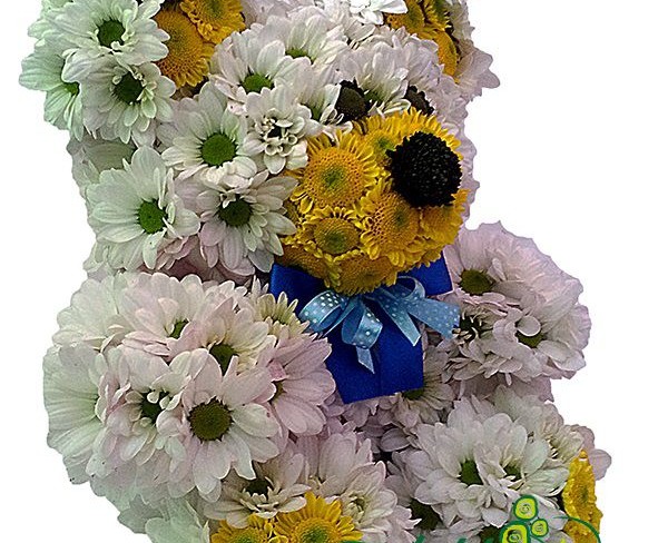 Медвежонок из белых, желтых и черных хризантем с синим бантиком фото
