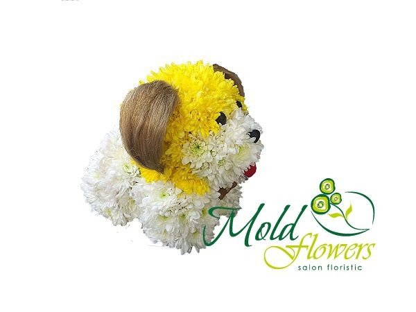 Doggie made of flowers (yellow and white chrysanthemums) photo