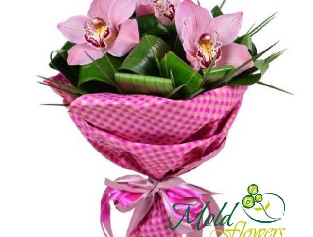 Bouquet of pink cymbidium orchid, aspidistra in pink paper Photo