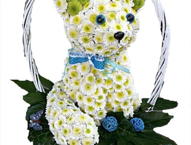 Cat made of flowers (white-yellow and green chrysanthemums) photo