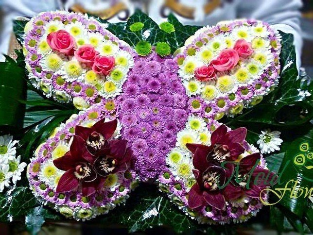 Butterfly from flowers (chrysanthemums) photo