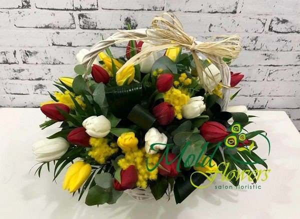 Basket with white, yellow, red tulips and mimosa, aspidistra photo