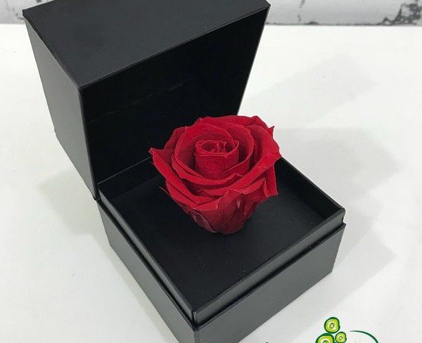 Cutiuța neagra cu trandafir veșnic roșu mini foto