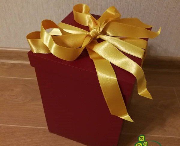 Стабилизированная Роза под куполом (красная) + подарочная коробка (под заказ, 3 дня) Фото
