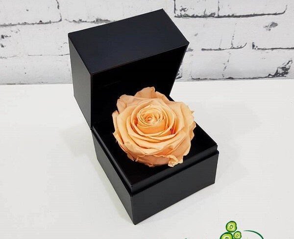 Чёрная коробочка с долговечной розой (персиковая) Фото